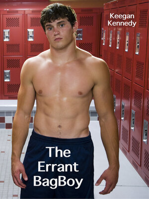 cover image of The Errant Bag Boy
